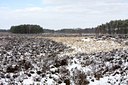 BUITEN BEELD Foto: 82569