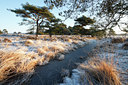 BUITEN BEELD Foto: 82584