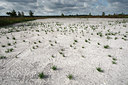 BUITEN BEELD Foto: 82585