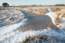 BUITEN BEELD Foto: 82588