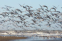 BUITEN BEELD Foto: 82593