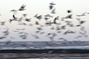 BUITEN BEELD Foto: 82641