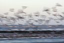 BUITEN BEELD Foto: 82643