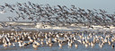BUITEN BEELD Foto: 82645