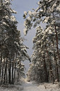BUITEN BEELD Foto: 82664