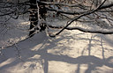 BUITEN BEELD Foto: 82666