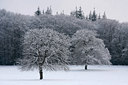 BUITEN BEELD Foto: 82672