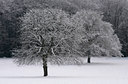 BUITEN BEELD Foto: 82673