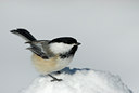BUITEN BEELD Foto: 82690