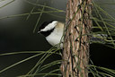 BUITEN BEELD Foto: 82692