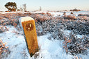 BUITEN BEELD Foto: 82711
