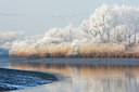 BUITEN BEELD Foto: 82726