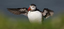 BUITEN BEELD Foto: 82736