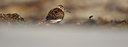 BUITEN BEELD Foto: 82737
