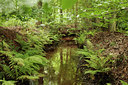 BUITEN BEELD Foto: 82761