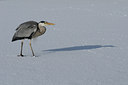 BUITEN BEELD Foto: 82790