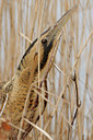 BUITEN BEELD Foto: 82804