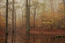 BUITEN BEELD Foto: 82836