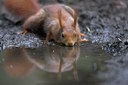BUITEN BEELD Foto: 82852