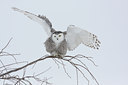 BUITEN BEELD Foto: 82907