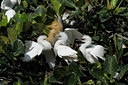 BUITEN BEELD Foto: 82910