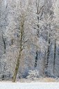 BUITEN BEELD Foto: 82976