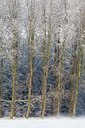 BUITEN BEELD Foto: 82977