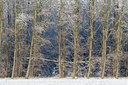 BUITEN BEELD Foto: 82978