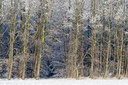 BUITEN BEELD Foto: 82979