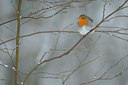 BUITEN BEELD Foto: 83045