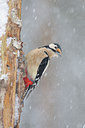 BUITEN BEELD Foto: 83048