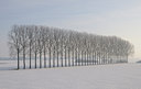 BUITEN BEELD Foto: 83064