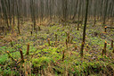 BUITEN BEELD Foto: 83083