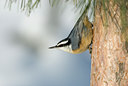 BUITEN BEELD Foto: 83133