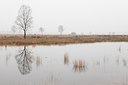 BUITEN BEELD Foto: 83261