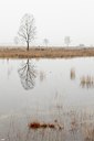 BUITEN BEELD Foto: 83263