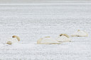 BUITEN BEELD Foto: 83273