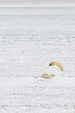 BUITEN BEELD Foto: 83274