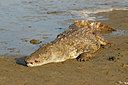 BUITEN BEELD Foto: 83338