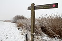 BUITEN BEELD Foto: 83446