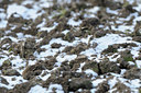 BUITEN BEELD Foto: 83459