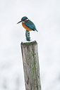 BUITEN BEELD Foto: 83544