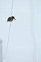 BUITEN BEELD Foto: 83675