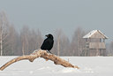 BUITEN BEELD Foto: 83731