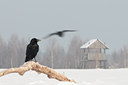 BUITEN BEELD Foto: 83732