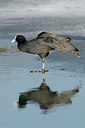 BUITEN BEELD Foto: 83768