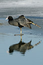 BUITEN BEELD Foto: 83769
