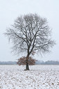 BUITEN BEELD Foto: 83827