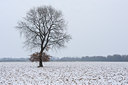 BUITEN BEELD Foto: 83828