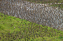BUITEN BEELD Foto: 83844